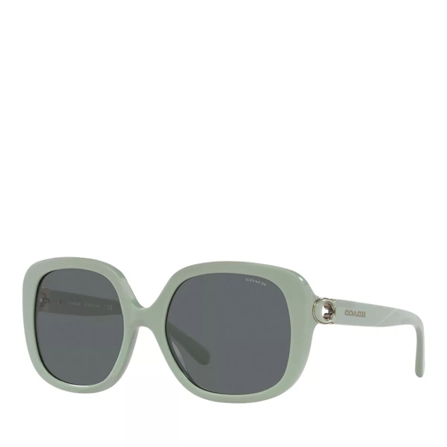 Coach Sunglasses 0HC8292 Pastel Green Solglasögon