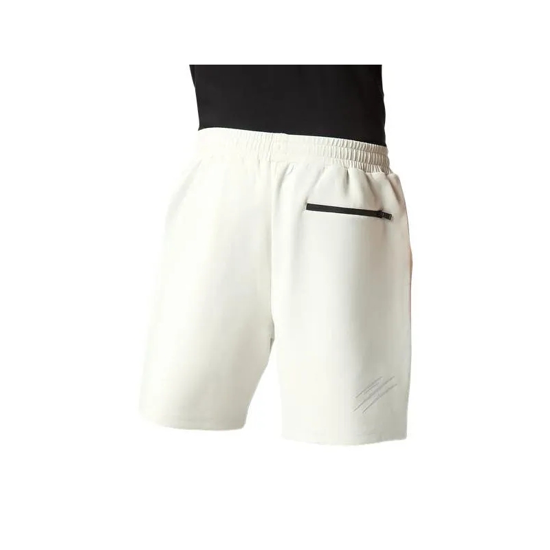 Plein Sport Shorts Shorts grau