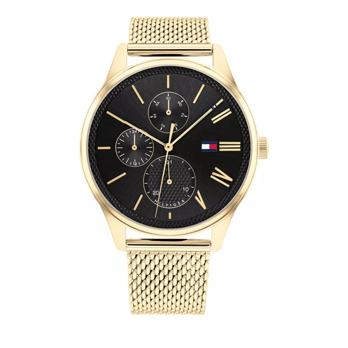 Tommy Hilfiger Watch Classic Gold Multifunctioneel Horloge