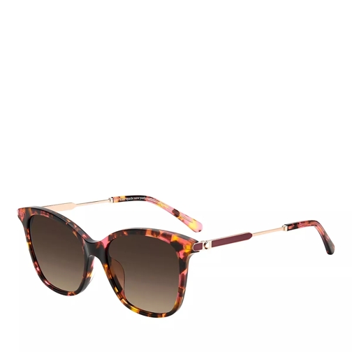 Kate Spade New York DALILA/S        Havana Sunglasses