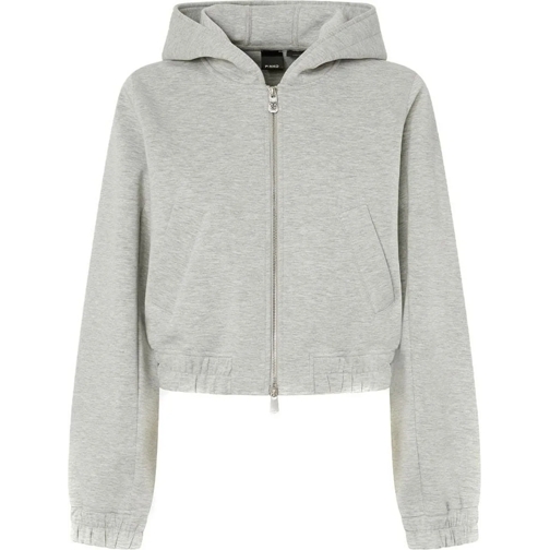 Pinko Sweatshirts Sweaters Gray grau