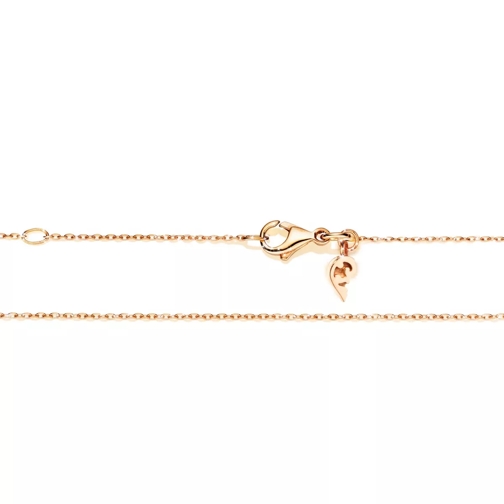 Capolavoro Necklace Anchor Rosegold Medium Halsketting