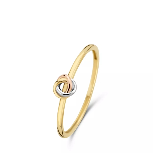 Isabel Bernard Tricolore Maeva 14 Karat Ring Gold Siegelring