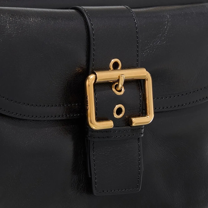 Chloé Satchel Camera Bag(Image 5)