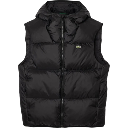 Lacoste Vestes en duvet Jackets Black schwarz