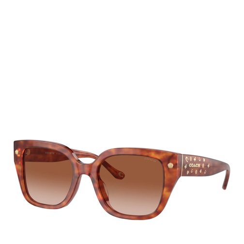 Coach Sonnenbrille Cr611 Caramel Tortoise