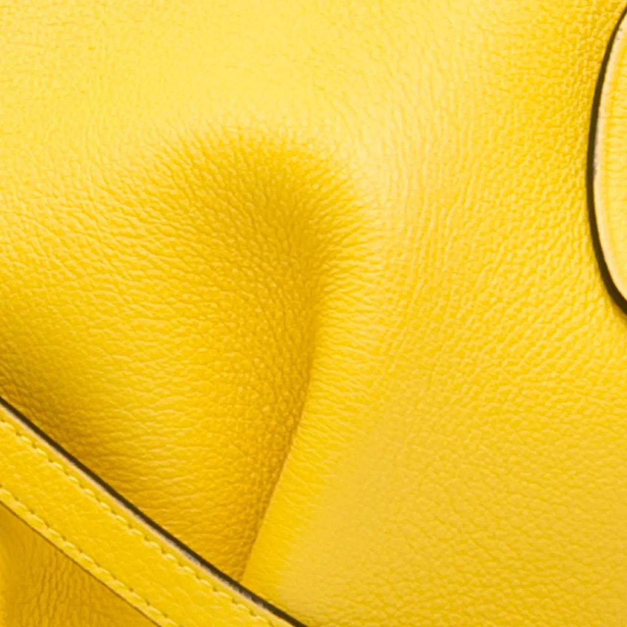 Loewe Shoppers Mini Calfskin Elephant Crossbody in geel