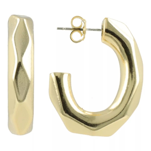 LOTT.gioielli CL Resin Earring Oval Creole Faceted L Gold Hoop