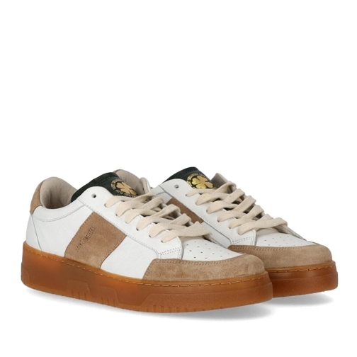 SAINT SNEAKERS SAINT SNEAKERS SAIL CLUB WEISS TAUPE SNEAKER weiß låg sneaker